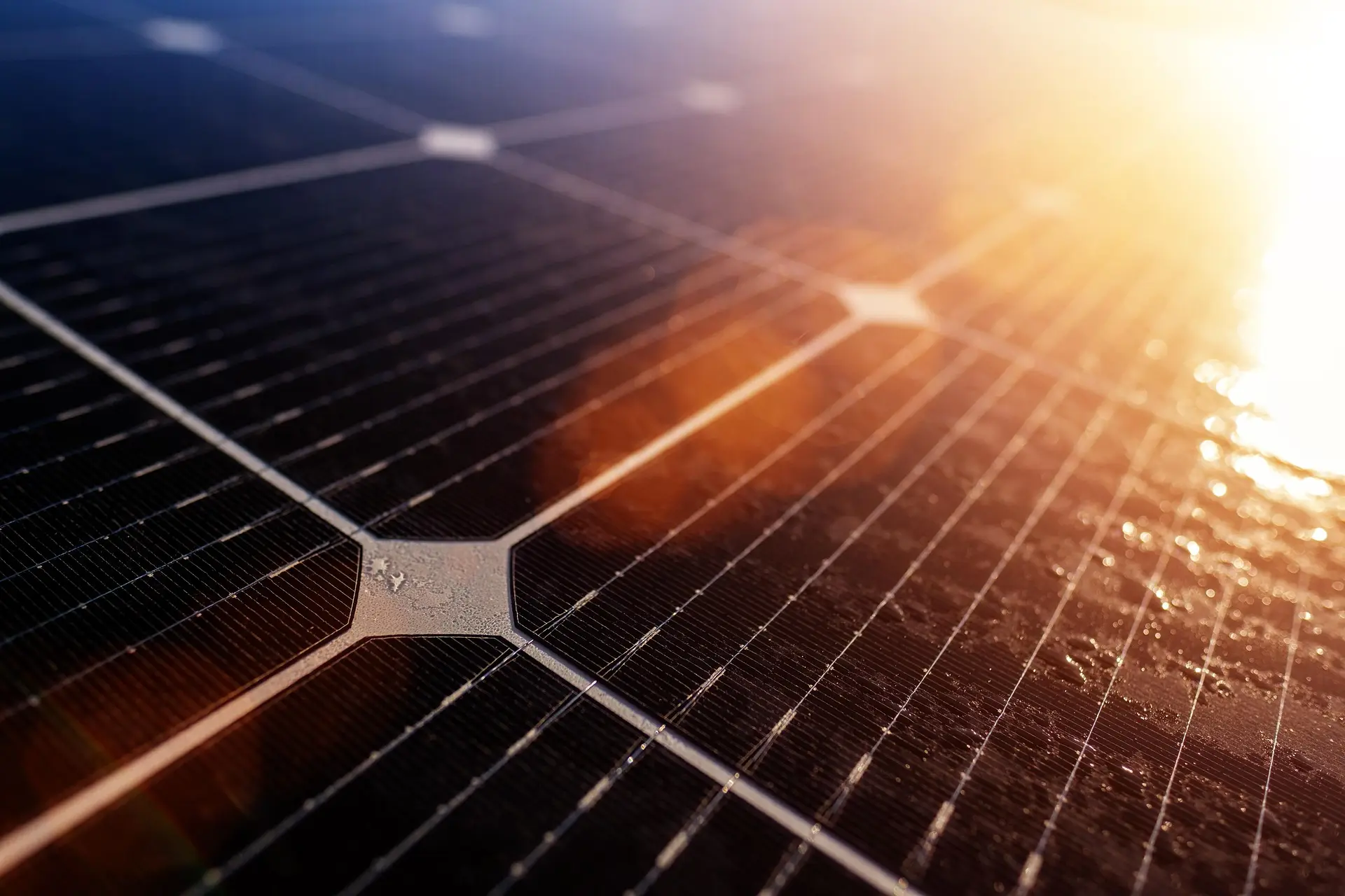 Solarzellen im Sonnenlicht
